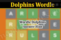 Dolphin Wordle img